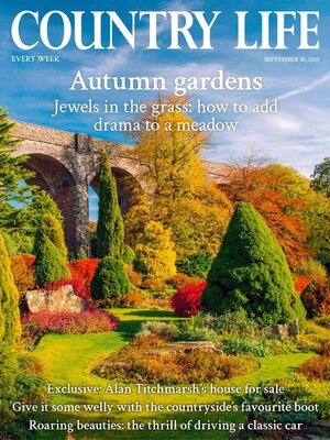 cover image of Country Life